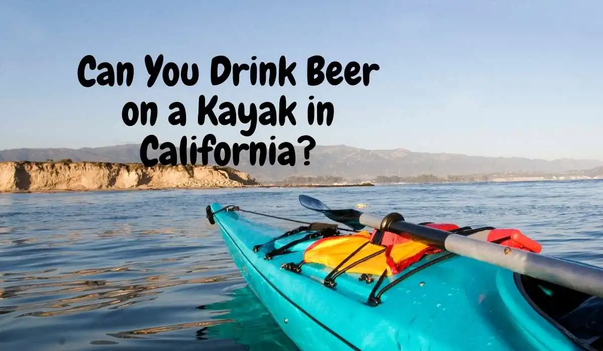 Can You Drink Beer on a Kayak in California