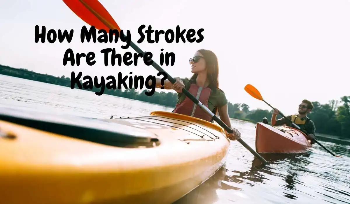 How Many Strokes Are There in Kayaking