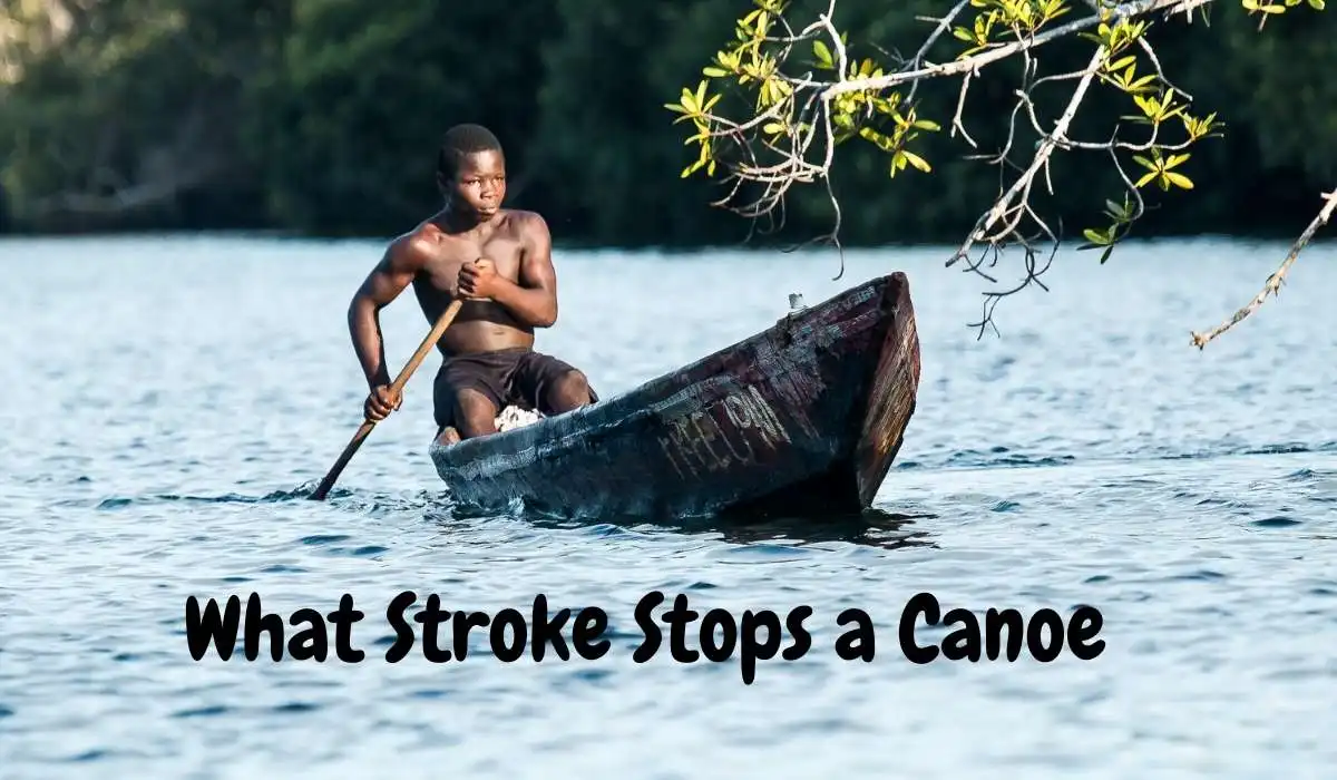 What Stroke Stops a Canoe